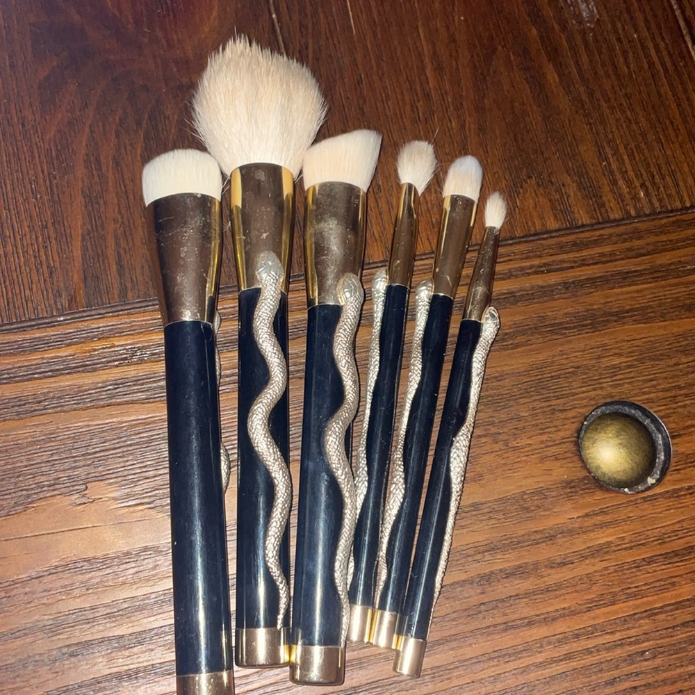 GENTLY USED 6 count Sonia Kashuk brush set!